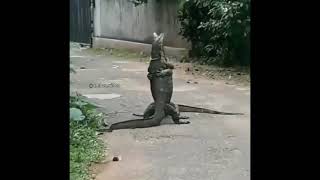 Download lagu LAGU ENDING DORAEMON mp3