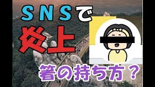 【炎上中】箸の持ち方気にする？気にしない？【ちゃちゃこ＠正直クソババアお母さん】ないとうたくお