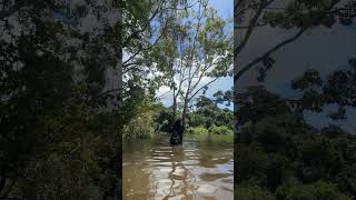 Será que tenho coragem? #dianaroça #vidanaroça