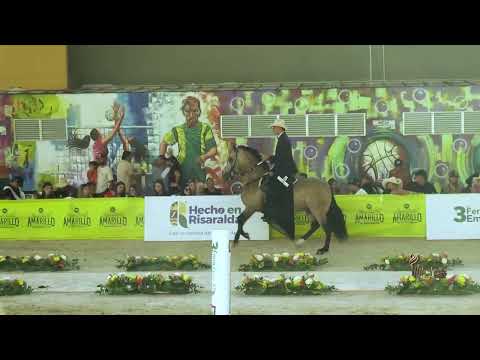 HORUS DE SANTA CAROLA, PRIMER FINALISTA TROCHA Y GALOPE FESTIVAL EQUINO DOSQUEBRADAS RISARALDA 2025