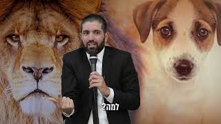אתה צדיק יותר מרבי נחמן מברסלב, אתה קולט? 😲 הרב שניר גואטה בגילוי מטורף - עם כתוביות בעברית