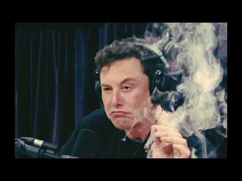 Elon Musk - "Xəyalımdasan"