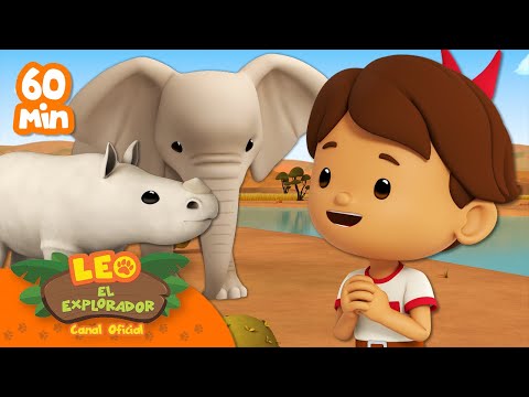 ¡1 HORA DE ANIMALES ENORMES CON PIEL GRUESA!! 🐘🦏 | Leo, El Explorador | Animación | #compilación