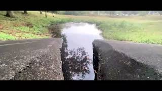 A 45 Second Film About Trees (JJ Gonzalez) - ORIGINALLY POSTED MAR112022