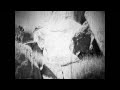 Found Footage #7