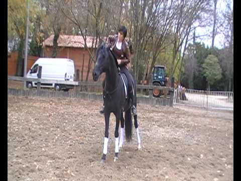 " Remate & Mélissa Hasta-Luego "