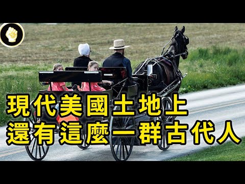 What are the Amish in the United States?