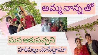My Home Gardening Video // special video // Amma n