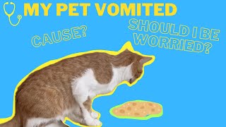 My Pet Vomited🤮 Should I Take Them to the Vet? Why Did it Happen?