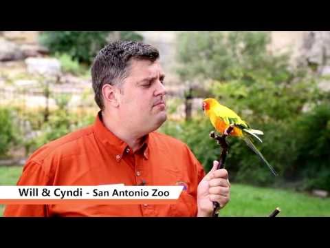 SA Goes Orange - San Antonio Zoo