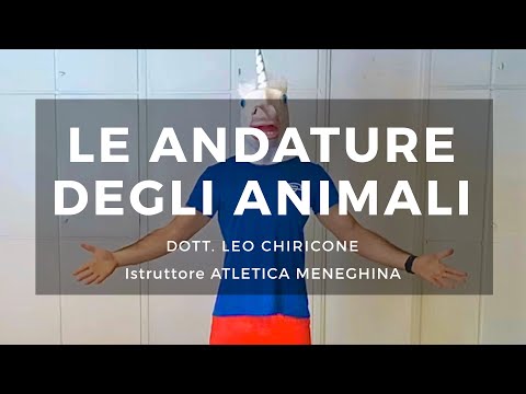 Le andature degli animali - Leo Chiricone - Atletica Meneghina