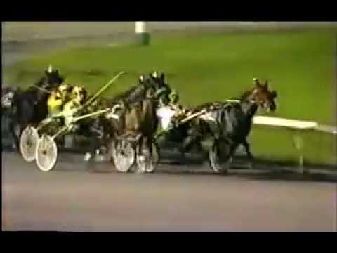 1986 Rosecroft Raceway HALCYON Breeders Crown 2yo Filly Pace