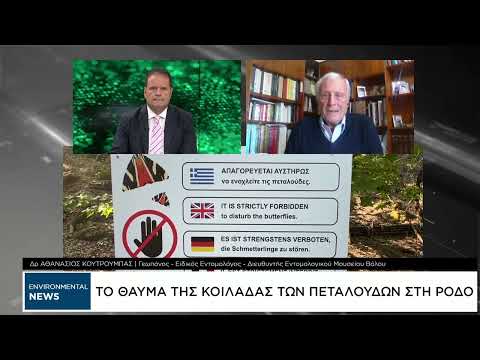Η εικόνα της κοιλάδας των πεταλούδων στη Ρόδο