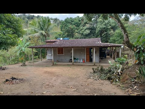 Vende-se um sítio em Gravatá zona rural de branquinha Alagoas 6 hectares $300.000 e porteira fechada