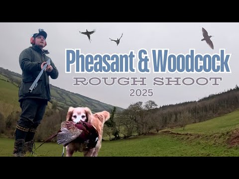 I MISSED THE BEST BIRDS OF MY LIFE!! | Driven Pheasant & Woodcock Shooting