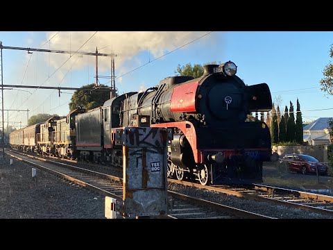 Steamrail Victoria and 707 Operations trains on the Craigieburn line