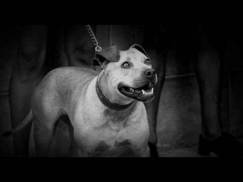 Lil Daddy Con Julito Pro - La Calle Me Respeta (Videoclip Oficial)