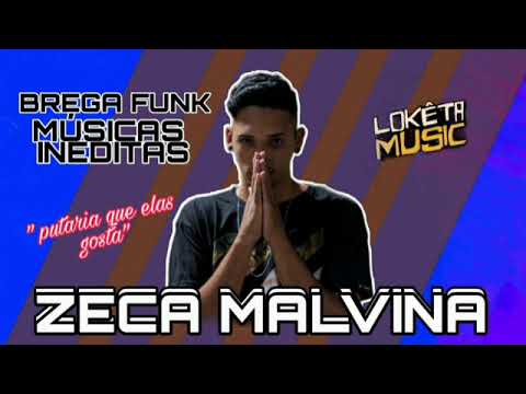 ZECA MALVINA MÚSICAS INÉDITAS 2021 BREGA FUNK