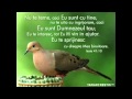 Negativ crestin - te iubesc Isuse 
