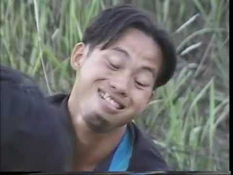 niam nkauj zuag paj & txiv nraug ntsuag f 1