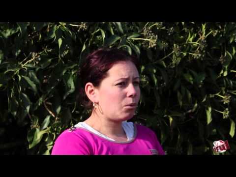 Copacul minune din Lupoaia