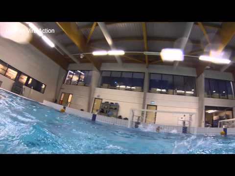 WaterPolo de Walvisch
