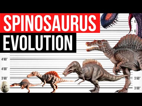 Evolution Of Spinosaurus | Life Cycle