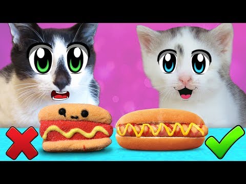 ОБЫЧНАЯ ЕДА ПРОТИВ МАРМЕЛАДА! КОТ МАЛЫШ и КОШЕЧКА МУРКА и REAL FOOD CHALLENGE vs Gummy Food ЧЕЛЛЕНДЖ