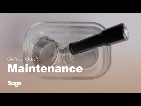 The Dual Boiler™ | Cleaning the portafilter and filter basket: our 3-step guide | Sage Appliances UK