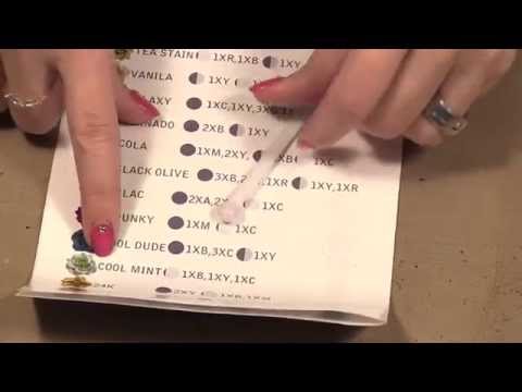 Ep. 1013 - Marion Smith Designs Color Lab Paint Kit