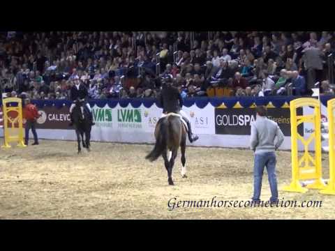 Balous Bellini Capistrano Hirtentanz MS2014