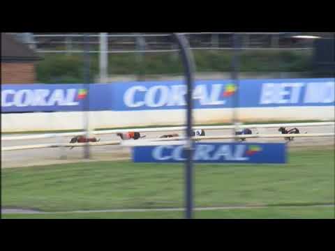 2017 CHAMPIONS NIGHT BITCHES - HEAT 2 - WILDFIRE BLOSSOM