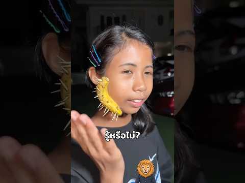 ฟ้าใส SPD ไม่ใช่คนธรรมดา