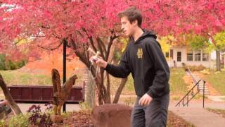 George Marshall // TTT // Sweets Kendamas