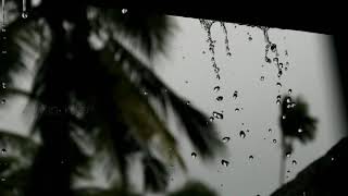 Mazha whatsapp status  Rain cinematic video  Rain 