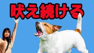 吠え続け困ってたら、あなたもできる！ドッグビヘイビアリズムで解決する　犬のしつけ