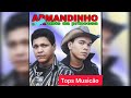 Asas Do Prazer Armadinho E Os Rubis Da Princesa Tops Musicão