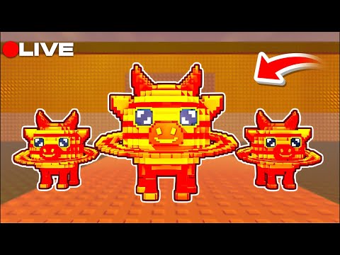 Heute ADMIN ABUSE in Steal a Brainrot!😱 MIT euch Duelle zocken🤯