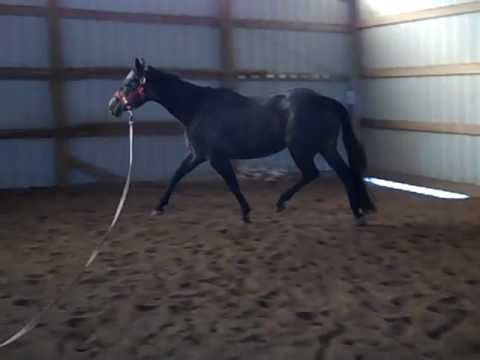 YaBett Im Captivatin