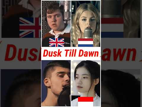 Who sang it better: Dusk Till Dawn ( uk, netherlands, indonesia, australia ) Zayn ft. Sia #shorts