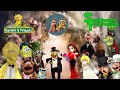 Kermit S Wedding ‍ ️