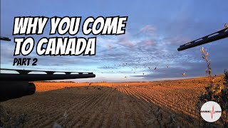 DUCK HUNT OF A LIFETIME || 80 DUCKS IN 60 MINUTES ||Canada part 2