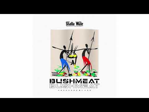 Shatta Wale - Bushmeat (Audio Slide)