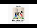 Shatta Wale Bushmeat Audio Slide