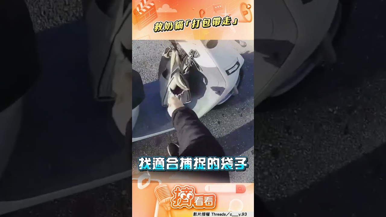 影音/女騎士路中「驚見奶貓」急救援 熟練掏塑膠袋「打包帶走」安置