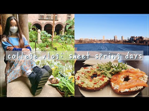 college diaries | museum dates, friend reunions, spring picnics