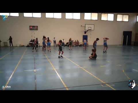 PREINFANTIL FEMENINO: CB 7 Palmas - Canterbury Academy