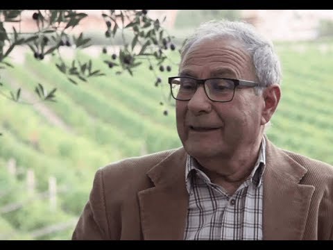 Spot novembre 2017 | Intervista a Sandro Boscaini - Masi Agricola