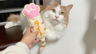 愛猫へオリジナルけりぐるみ作りました