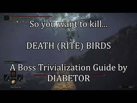 Death Rite Birds MELT with this easy EARLYGAME build!